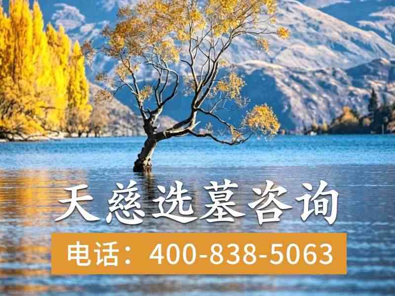 天慈墓园天慈安息的安葬理念是什么？深度解析其背后的人文关怀与生态理念